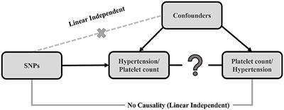 Elucidation of a Causal Relationship Between Platelet Count and Hypertension: A Bi-Directional Mendelian Randomization Study